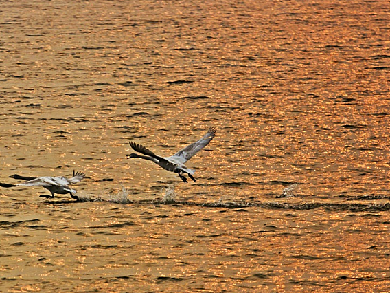 比疫情更可怕的危机已经来临了